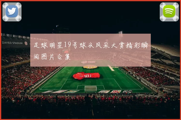 足球明星19号球衣风采大赏精彩瞬间图片合集