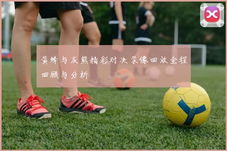 黄蜂与灰熊精彩对决录像回放全程回顾与分析