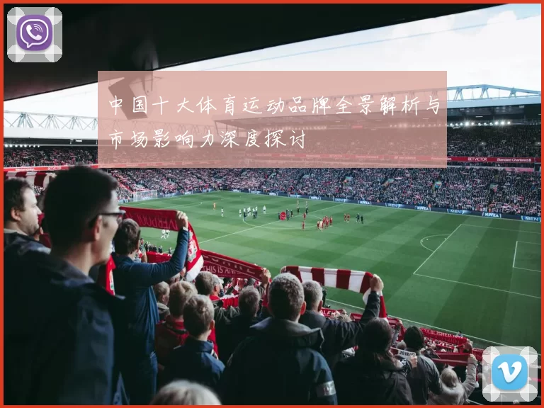 中国十大体育运动品牌全景解析与市场影响力深度探讨